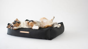 bold anthracite töve dog bed with plush high sides for ultimate security and modern style