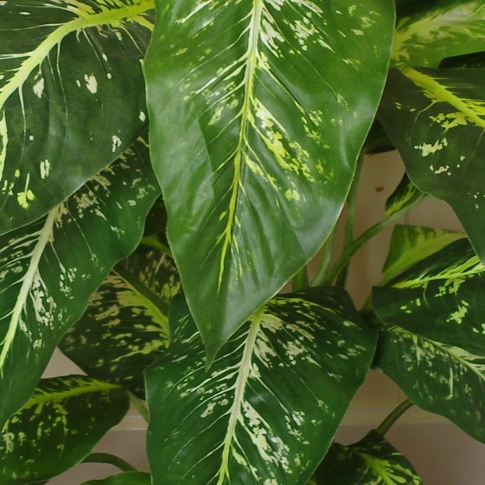 Large 100cm Fox's Aglaonema Artificial Tree with Gold Metal Planter