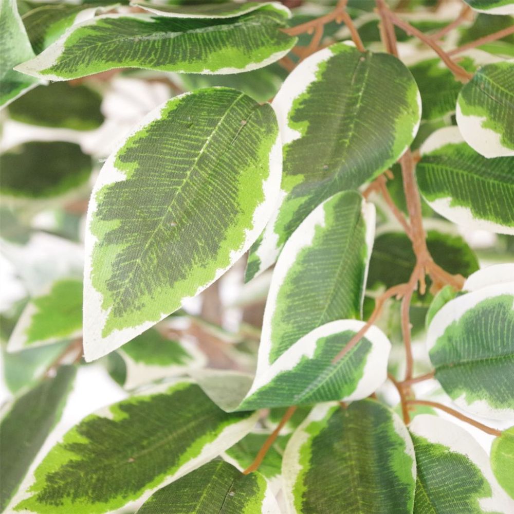 130cm Large Realistic White Edge Ficus Artificial Plant Tree