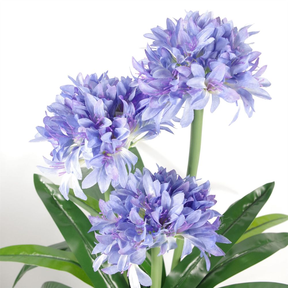 Premium Artificial Agapanthus 90cm Blue Flower with Pot