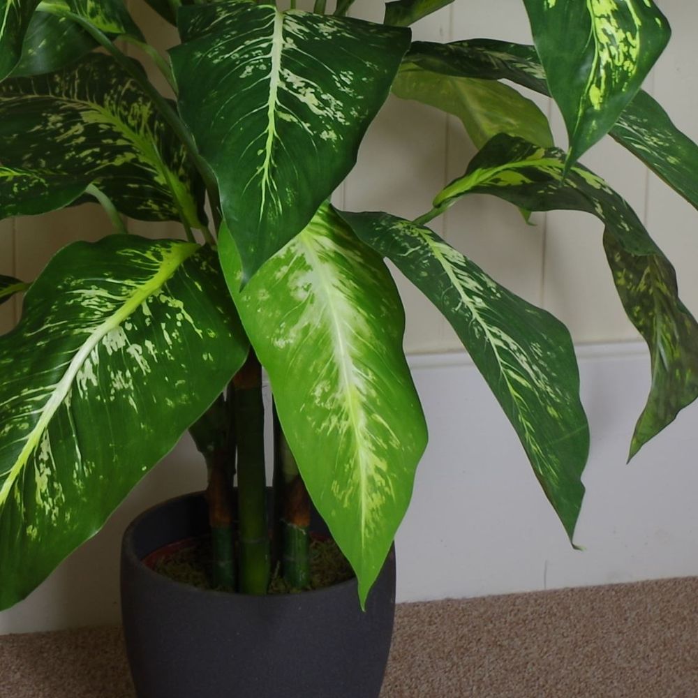 Large 100cm Fox's Aglaonema Artificial Tree with Gold Metal Planter