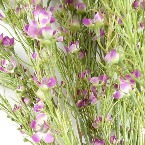 100cm Purple Artificial Foliage with Small Flowers