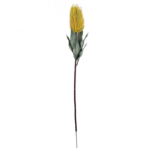 Pack of 6 Yellow Banksia Flower Stems 75cm Artificial