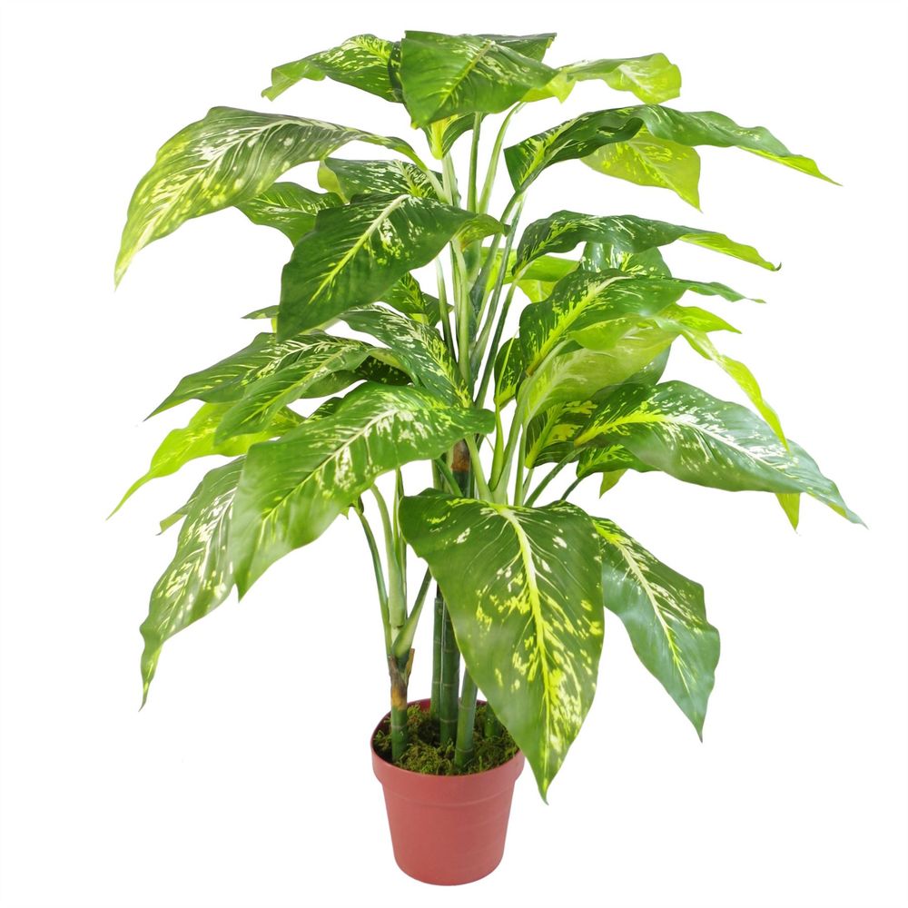 100cm Large Fox's Aglaonema Artificial Tree with Silver Metal Planter