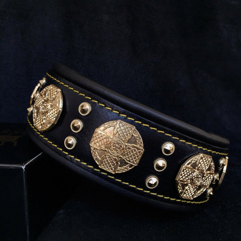 Maximus Black and Gold Dog Collar 2.5 Inch