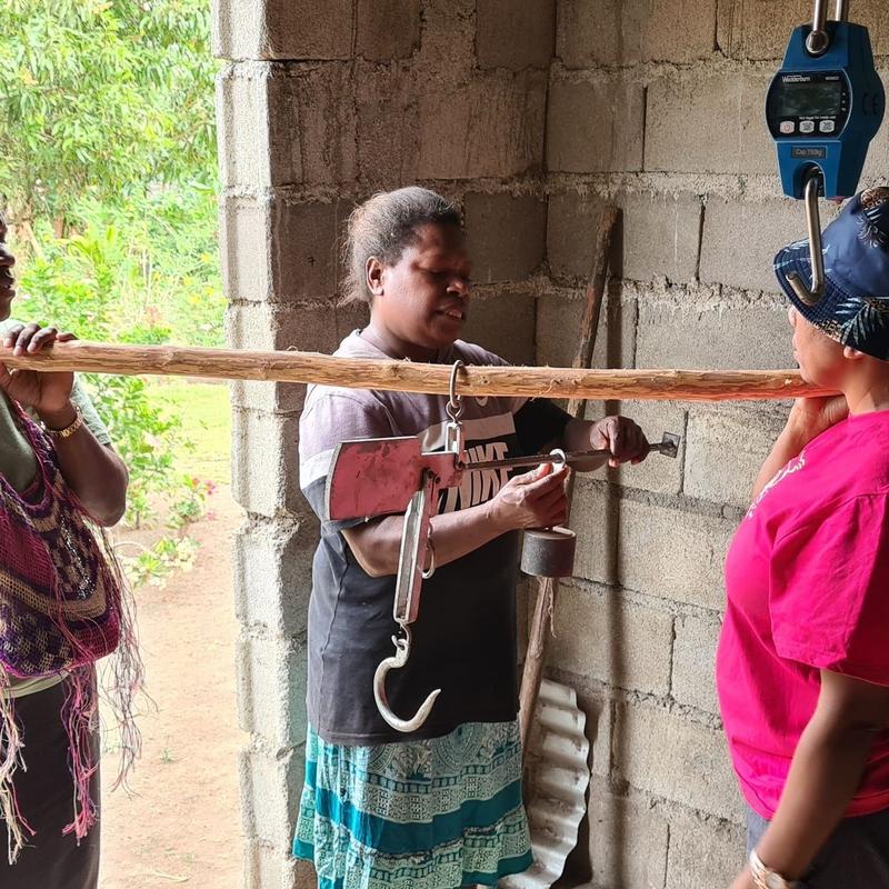 Solomon Islands Ceremonial Cacao
