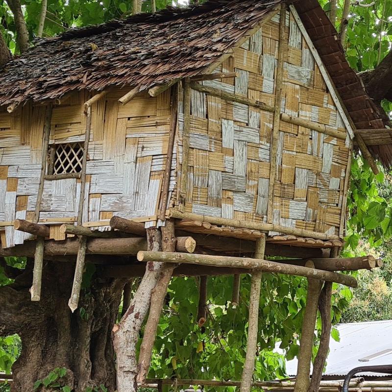 Solomon Islands Ceremonial Cacao