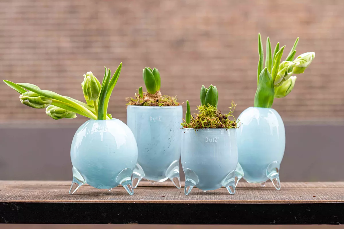 EVITA Vase with Feet - Set of 4pcs - Elegant Home Décor in Multiple Colors, Handcrafted Glass Vase, Unique Handmade Home Decoration