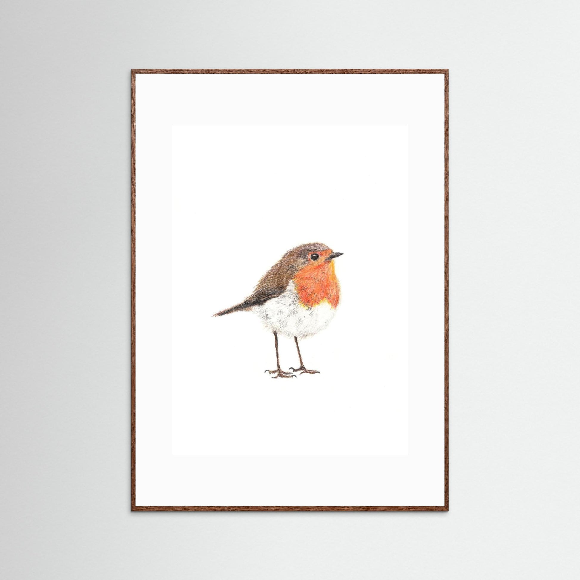 Robin Art Print Wildlife Wall Art for Nature Lovers