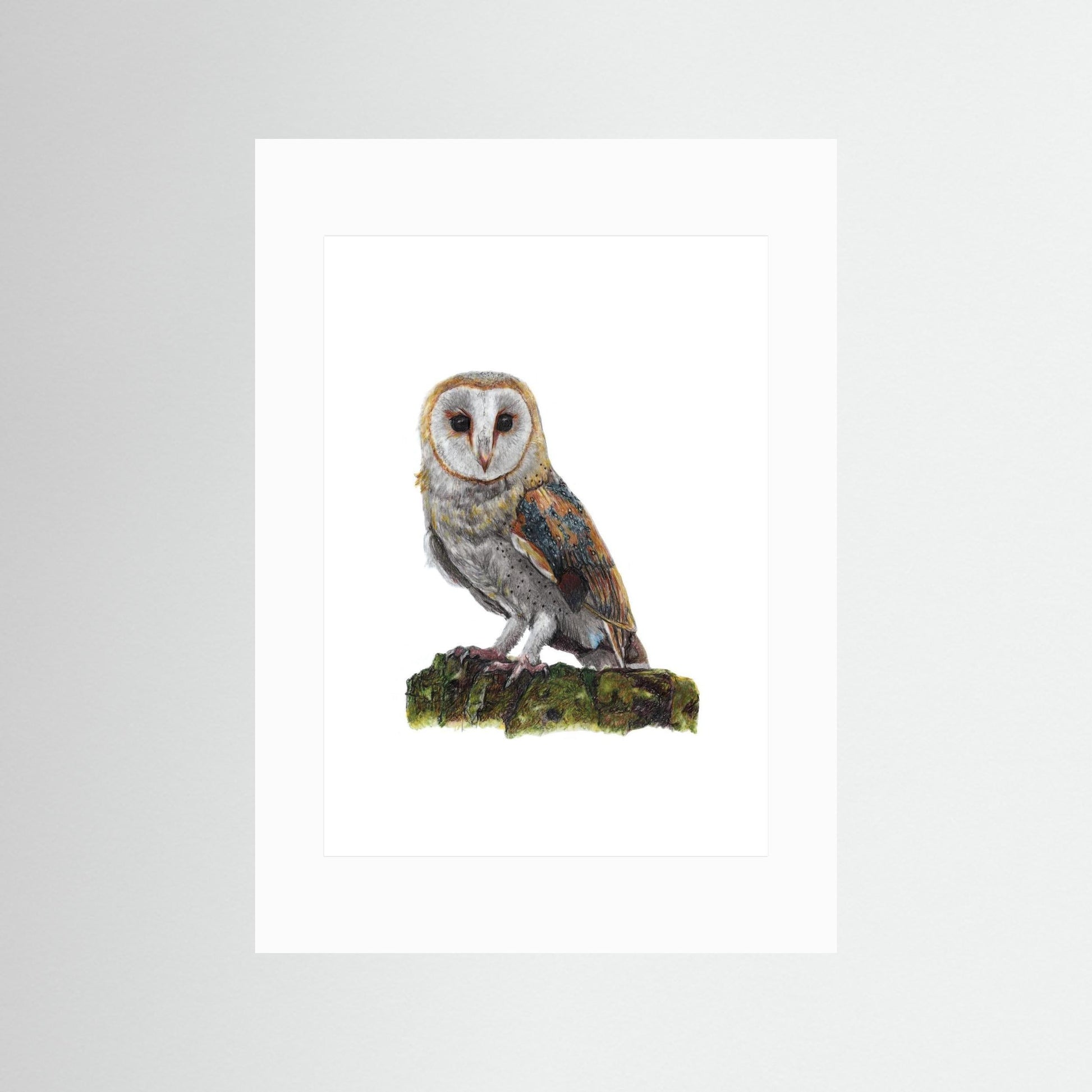 Barn Owl Art Print Wildlife Wall Art for Nature Lovers