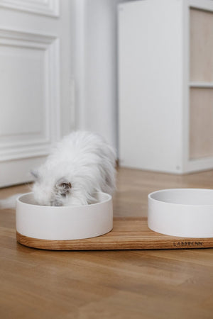 confident shot of the vuku ceramic double pet buffet in refined white on a dark oak base