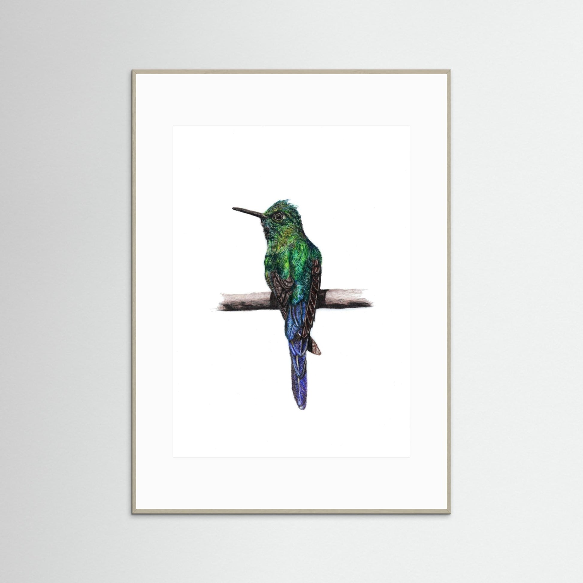 Hummingbird Art Print Wildlife Wall Art for Nature Lovers
