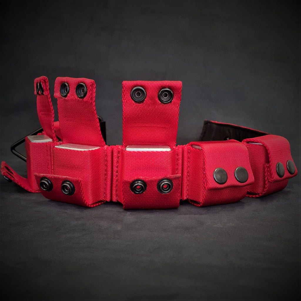 Red Weighted Dog Training Collar for Large Breeds Removable Weights