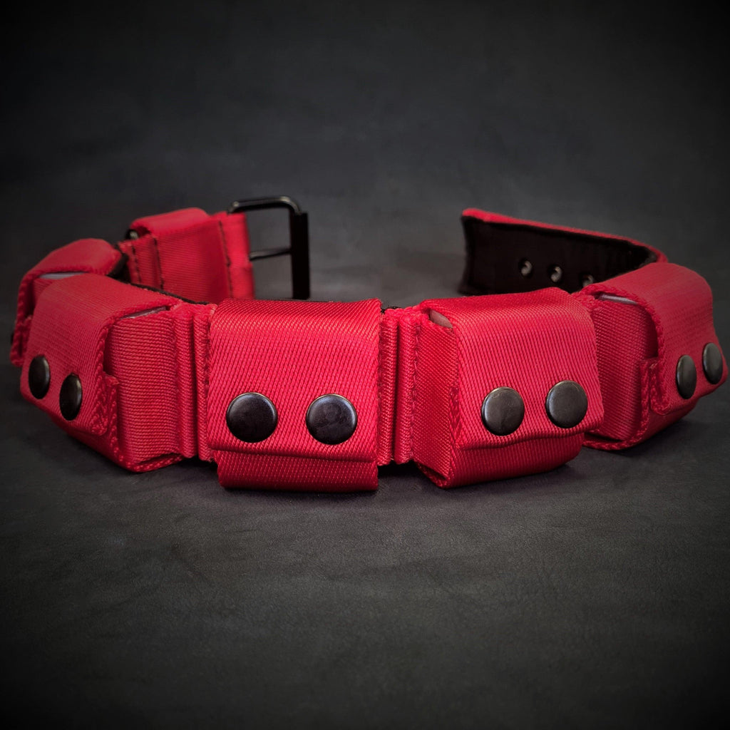 Red Weighted Dog Training Collar for Large Breeds Removable Weights