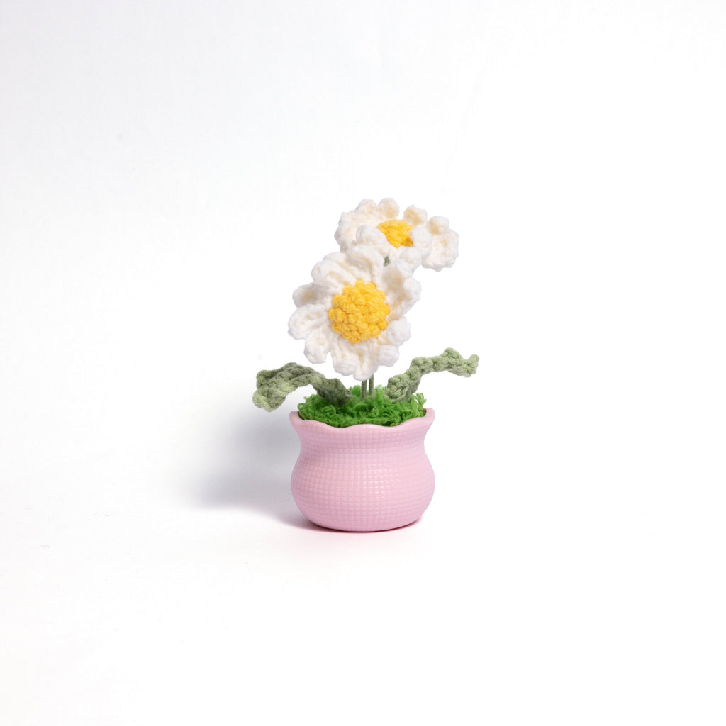 Blooming Joy: Whimsical Garden Pastel Pot Collection