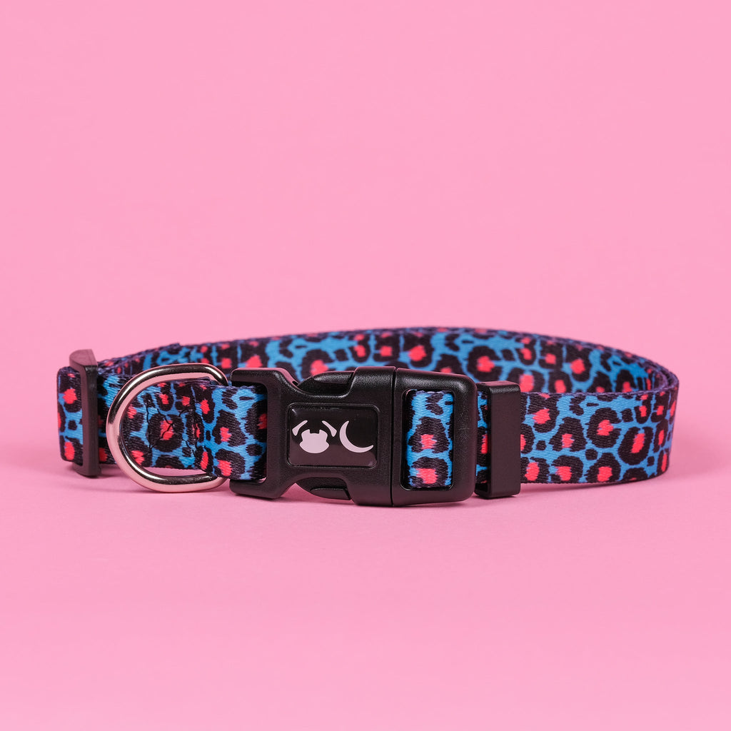 Leopard Print Dog Collar