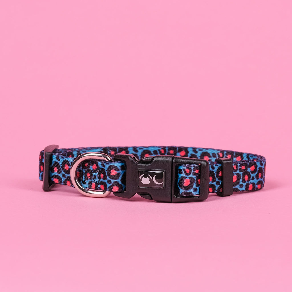 Leopard Print Dog Collar