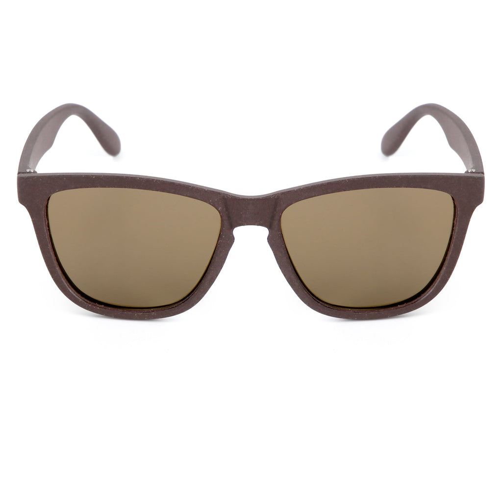 Wilpena Sunglasses Coffee