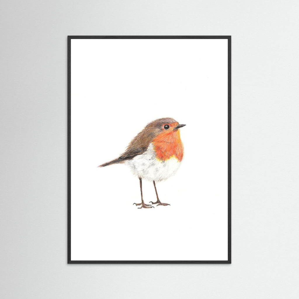 Robin Art Print Wildlife Wall Art for Nature Lovers