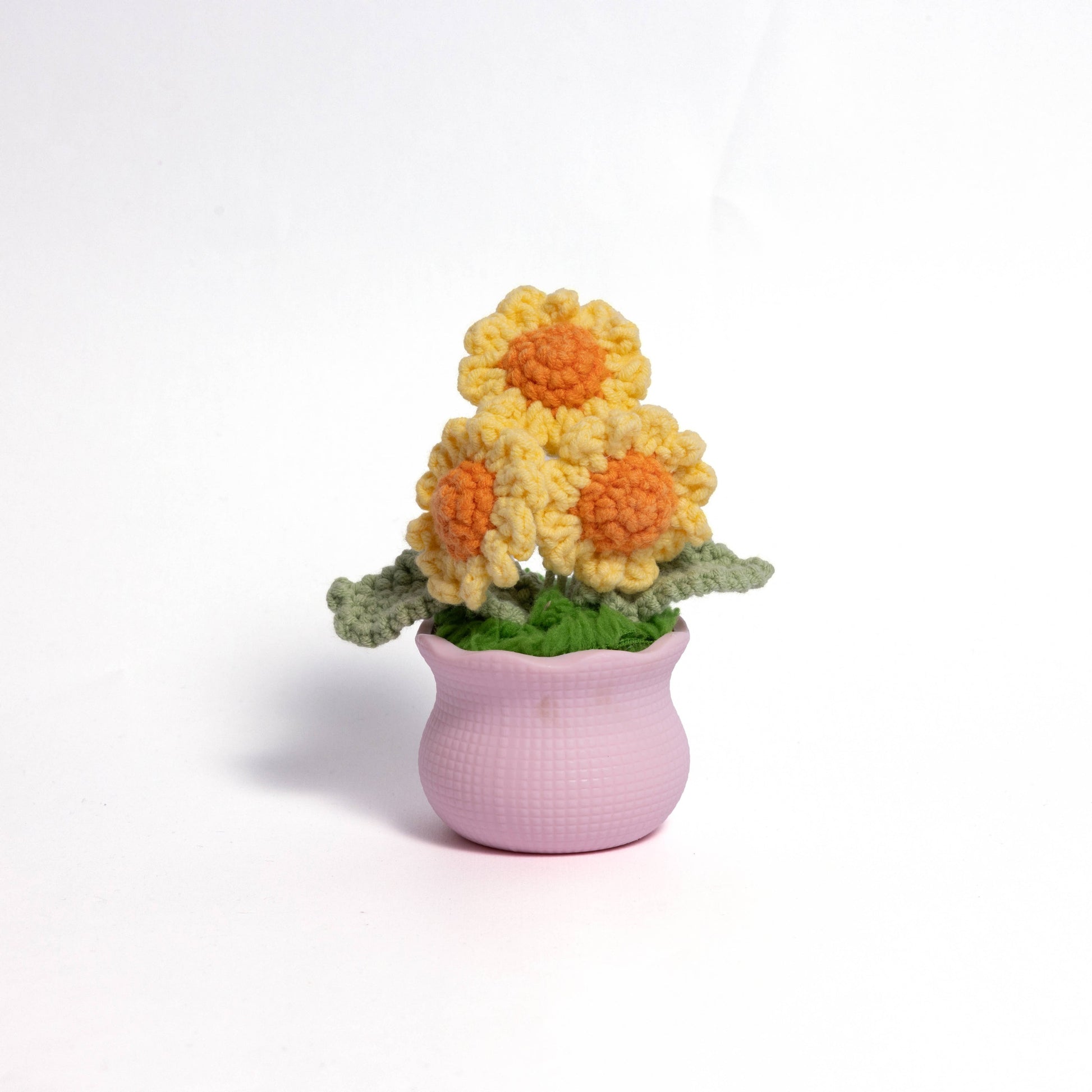 Blooming Joy: Whimsical Garden Pastel Pot Collection