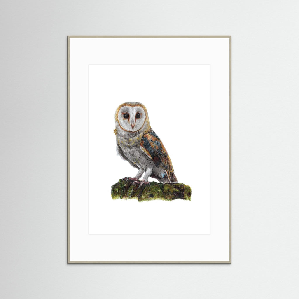 Barn Owl Art Print Wildlife Wall Art for Nature Lovers
