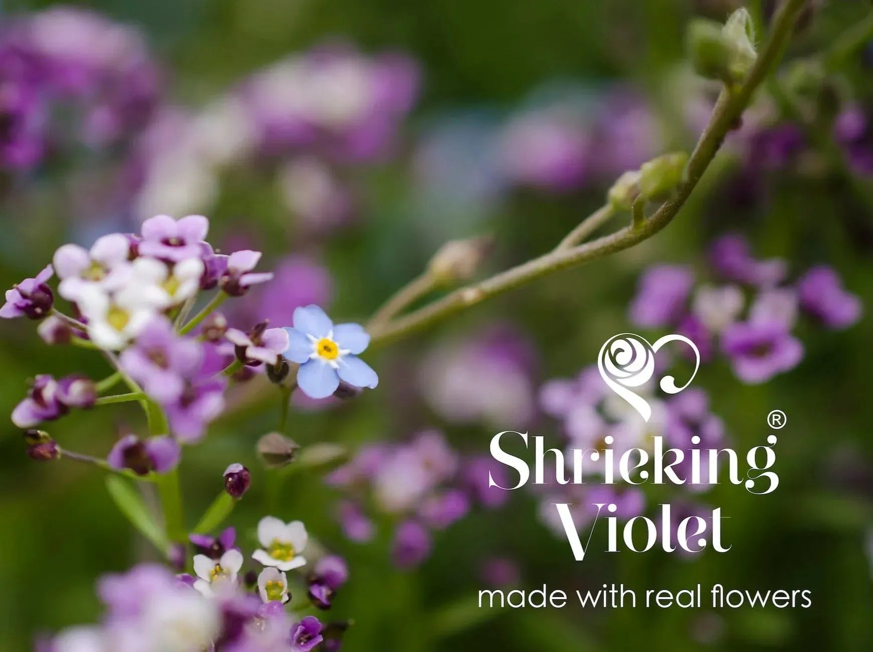 Sterling Silver Adjustable Ring with Purple Verbenas and Forget-me-nots