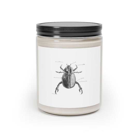 Brilliant Beetle Manic Vegan Scented Candle